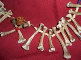 Order a Bone Reading by Email | Powerful Voodoo Spells